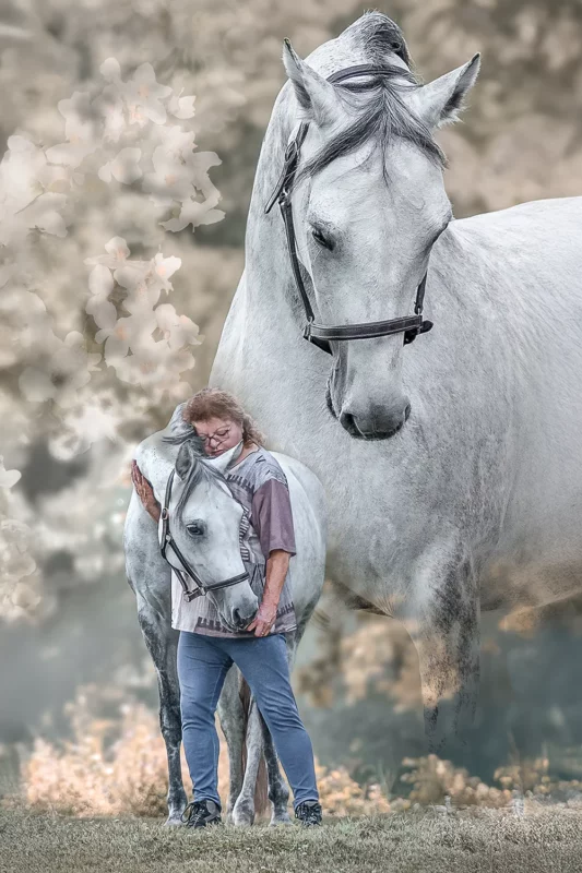 Emotionale Pferdefotografie – Präsenz und Ausdruckskraft