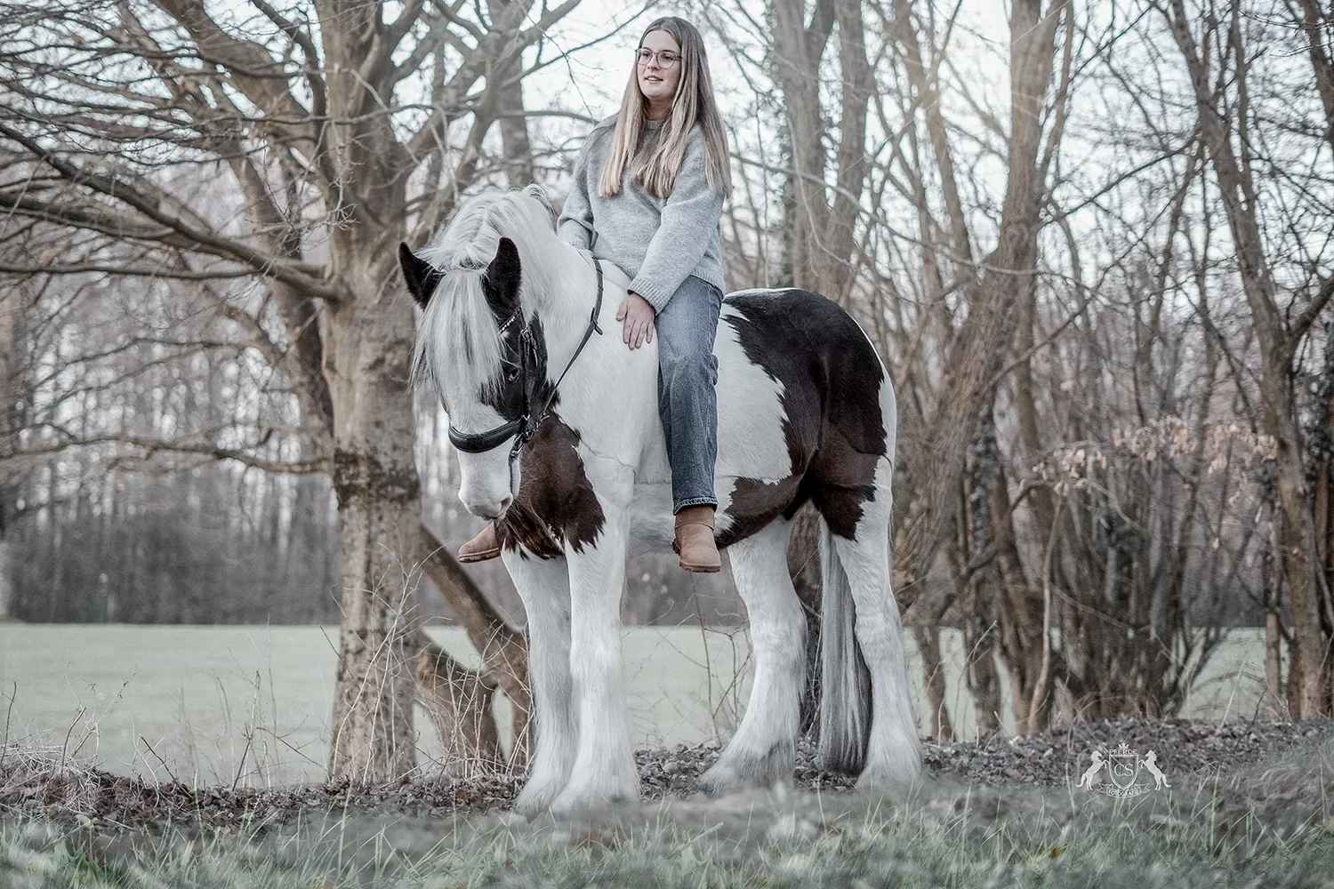Elegantes Pferdeportrait in NRW – Fine-Art-Pferdefotografie