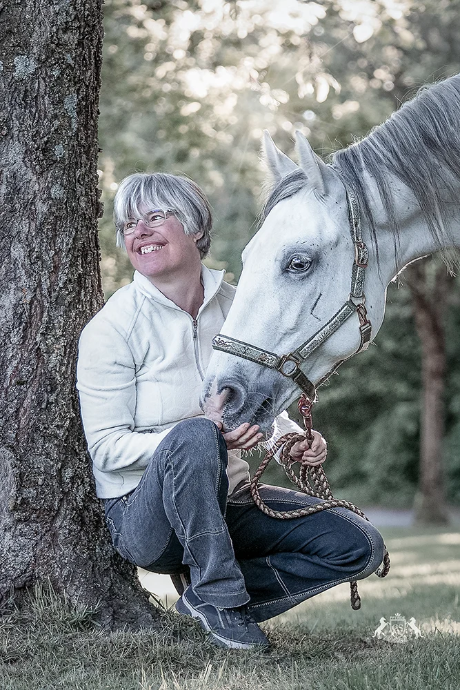 pferd lippizaner, schimmel, weißes pferd, pferdefotografieren lassen, pferdefotografie mettmann, pferdeshooting düssedorf, pferde fotografieren, pferdefotografin