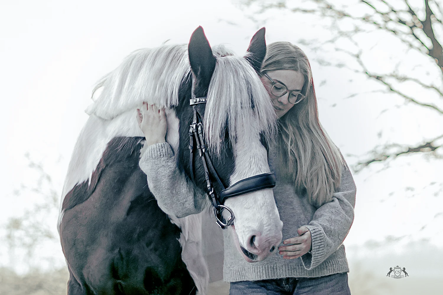 tinker irish cob pferdefotografie, pferd fotografieren mettmann, pferdefotograf, pferdeshooting düsseldorf